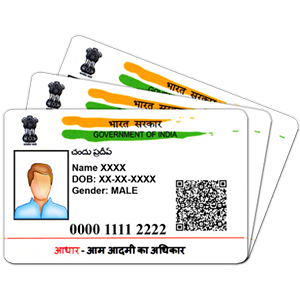 Aadhaar Verification
